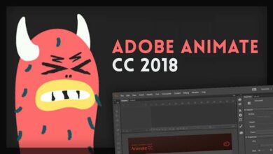 Adobe Animate 2018