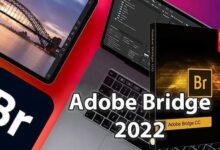 Adobe Bridge CC 2022