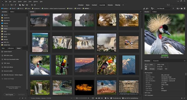 Tải Adobe Bridge 2022 - Bản Cr@Ck Mới Nhất 2023