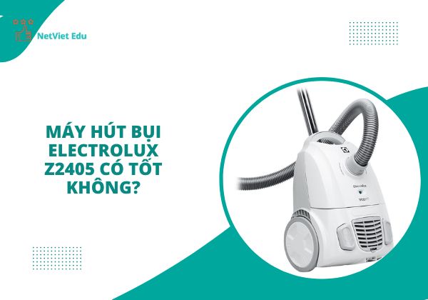 may-hut-bui-electrolux-z2405-co-tot-khong