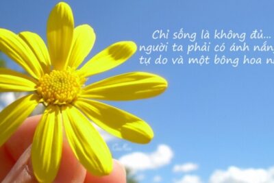 999+ STT Nắng, STT Về Nắng Trong Cuộc Sống Và Tình Yêu Hay Nhất