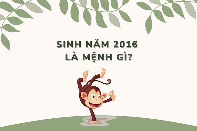 Nam 2016 hợp tuổi nào?