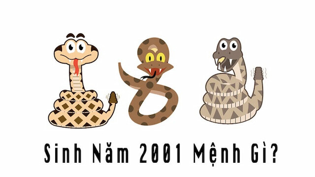 Tính cách nam tân tỵ 2001