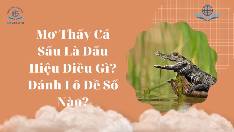 Mơ thấy cá sấu