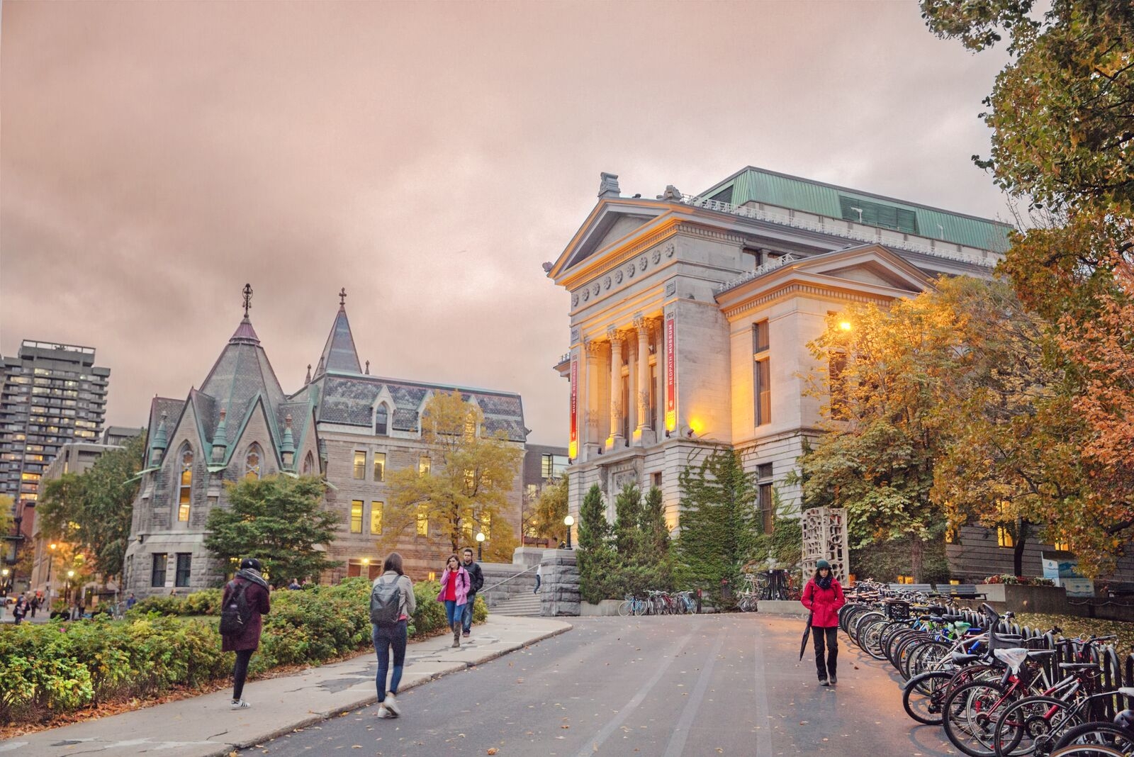 Tr Ng I H C McGill Canada McGill University   Mcgill3 