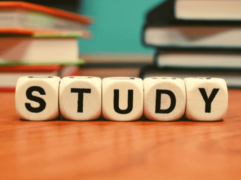 Study là gì? Study còn nghĩa nào khác trong tiếng Anh?