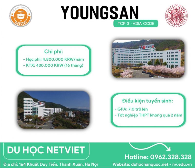 Đại học Youngsan University Hàn Quốc đào tạo những ngành gì?
