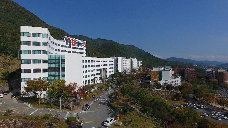 Đại học Youngsan University Hàn Quốc đào tạo những ngành gì?