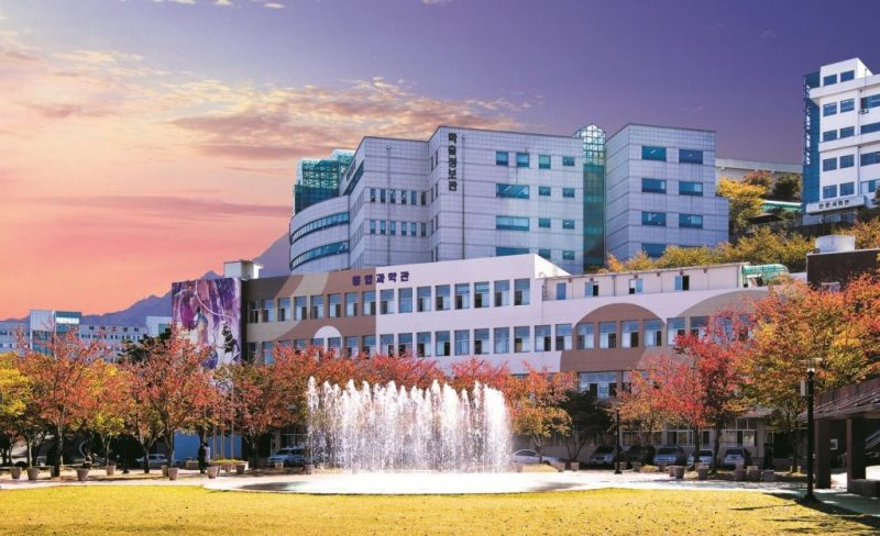 Đại học Daegu Haany University - Đào tạo Đông Y số 1 Hàn Quốc