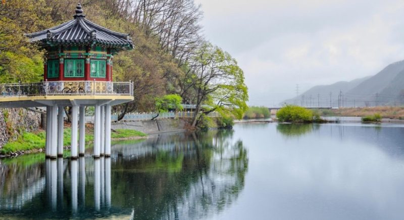 Đại học Daegu Haany University - Đào tạo Đông Y số 1 Hàn Quốc