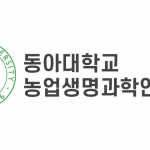 Trường đại học Dong-A University Hàn Quốc