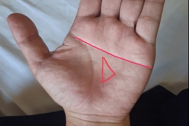 Vị trí đường chỉ tay tam giác