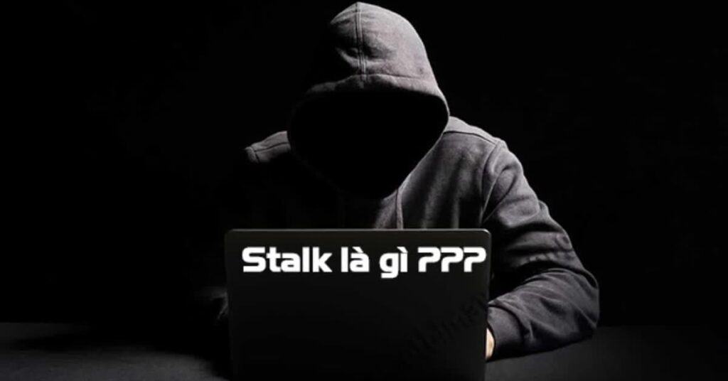 Stalk Là Gì?